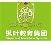 �ƹ�����